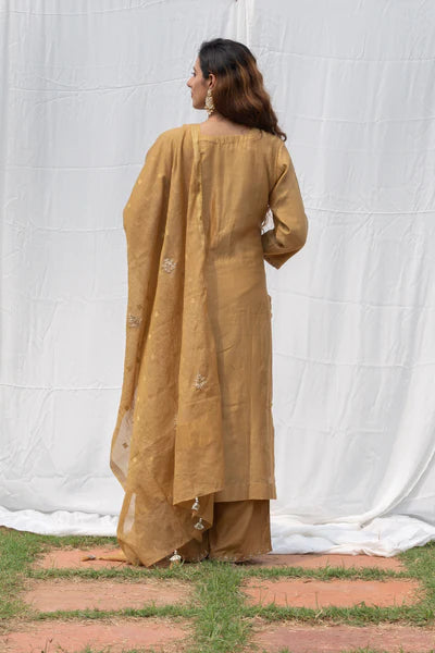 Raj - Beige Suit Set