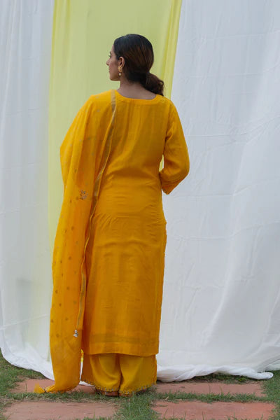 Raj - Yellow Suit Set
