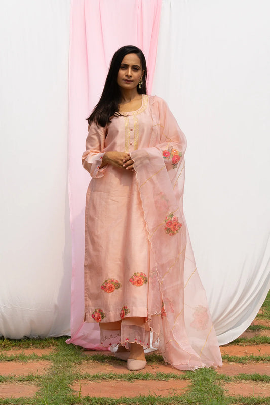Radhika - Nude Pink Suit Set